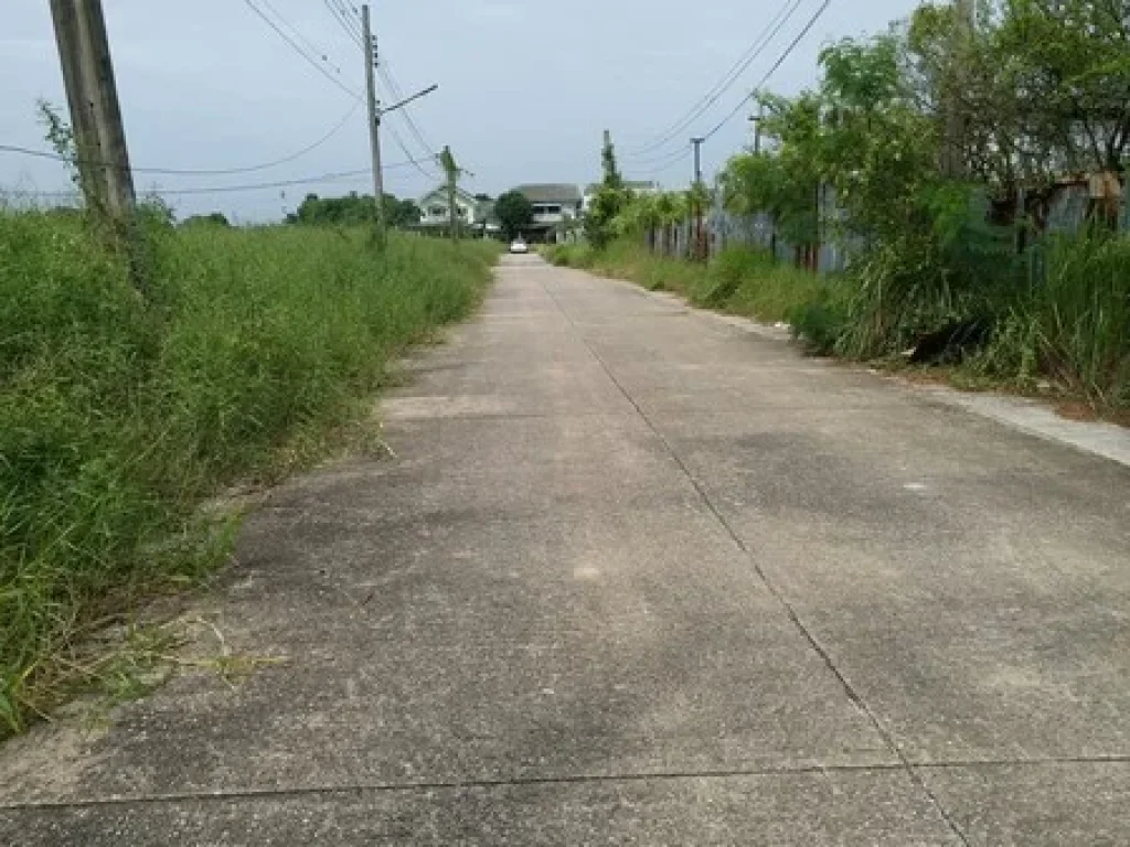 ขายถูก ที่ดิน 436 ตรวพุทธมณทลสาย 2 ซอย 33ศาลาธรรมสพน์ ทวีวัฒนา กรุงเทพมหานคร