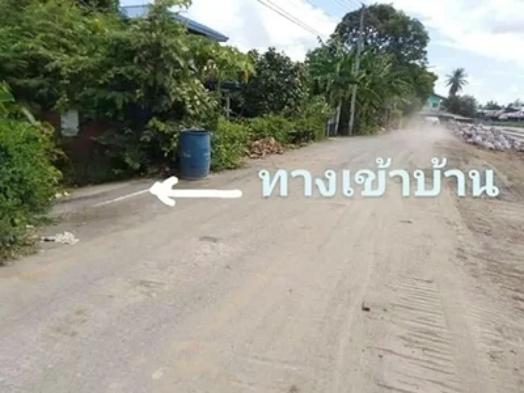 บ้านไม้ 2 ชั้น ตำบลพิกุลทอง อำเภอท่าช้าง สิงห์บุรี 202 ตรว