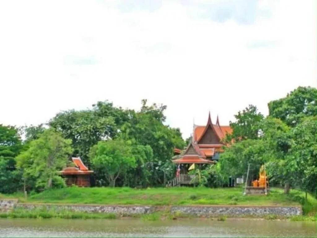 ขายที่ดินริมแม่น้ำ อยุธยา บท005 ขายที่ดินริมแม่น้ำพร้อมบ้านทรงไทย อบางไทร จอยุธยา