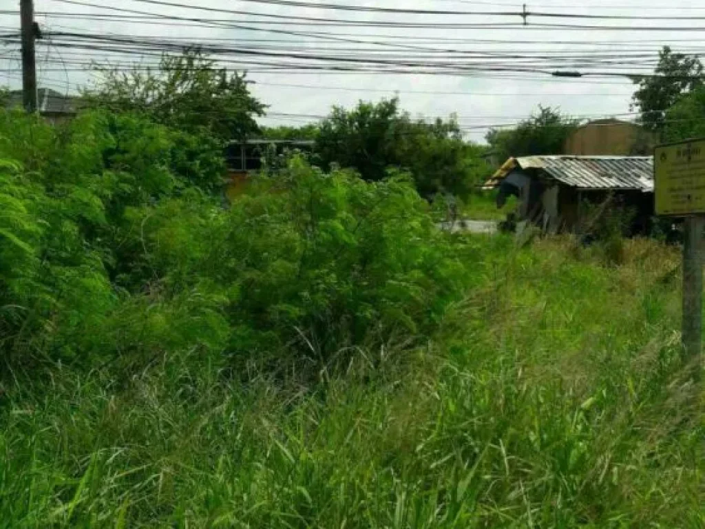 ขายที่ดินแปลงใหญ่ถนนบางนา-ตราดกม39ฃ160 ฝั่งขาออก