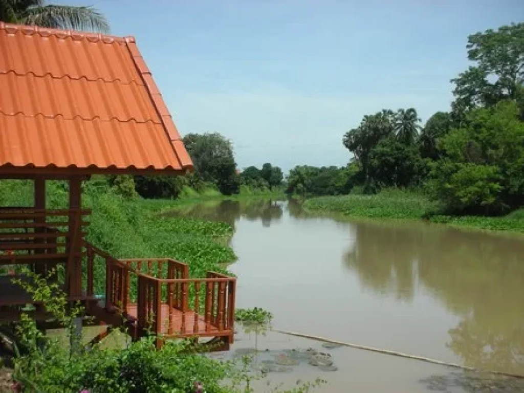 ขายที่ดินติดแม่น่ำท่าจีน 2 ไร่ 1 งาน 60 ตรว จสุพรรนบุรี