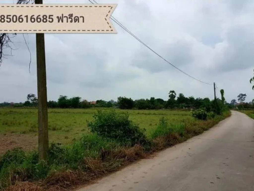 ขายด่วน ที่ดินเปล่า บ้านนา นครนายก 32 ไร่ เมืองอากาศดี