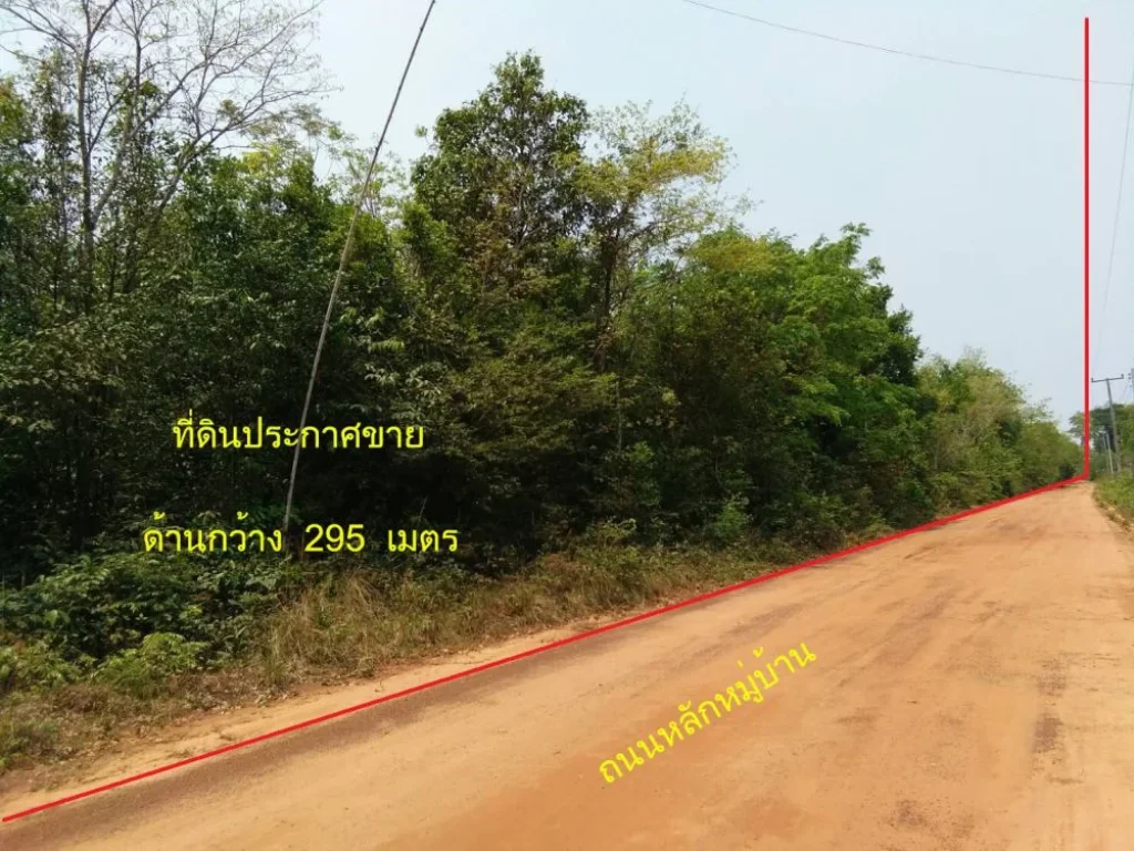 ที่ดินดิน 80 ไร่ อเหล่าเสือโก้ก จอุบลราชธานี