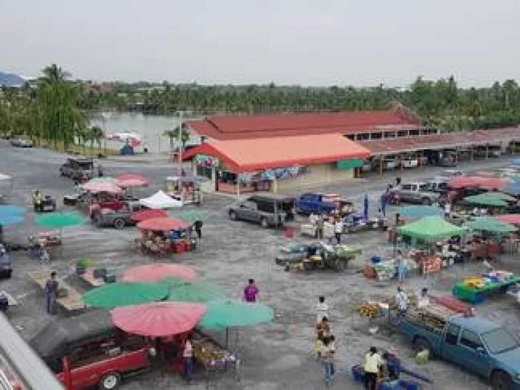 ขายที่ดิน 44ไร่ ติดวัดป่าเลไลยก์ กลางชุมชม เมือง สุพรรณบุรี