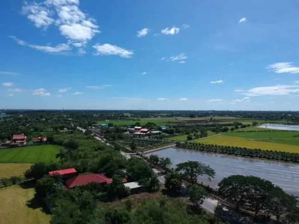 ขายที่ดิน 44ไร่ ติดวัดป่าเลไลยก์ กลางชุมชม เมือง สุพรรณบุรี