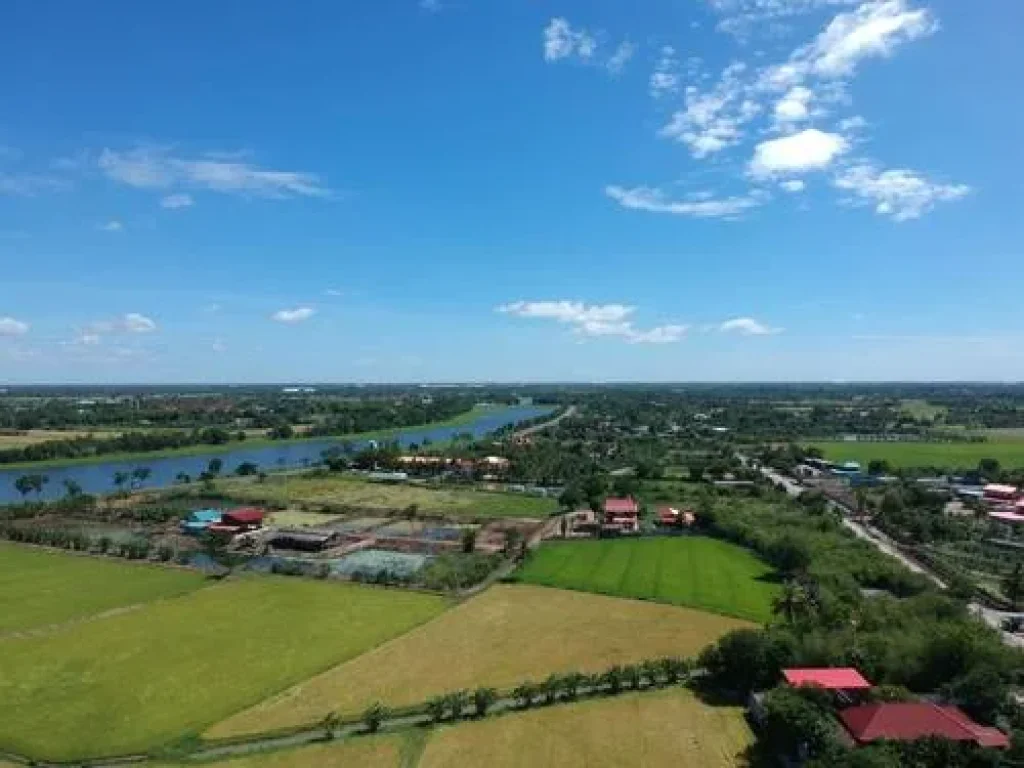 ขายที่ดิน 44ไร่ ติดวัดป่าเลไลยก์ กลางชุมชม เมือง สุพรรณบุรี