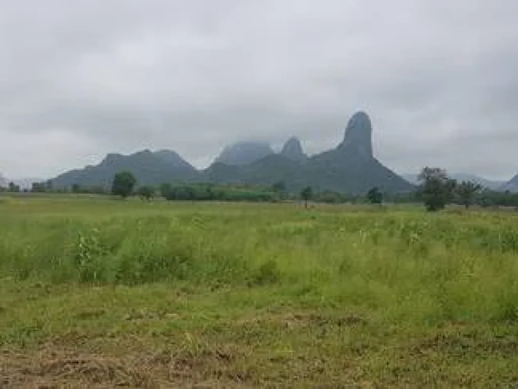 ขายที่ดิน 16ไร่ ใกล้อ่างซับเหล็ก เมือง ลพบุรี