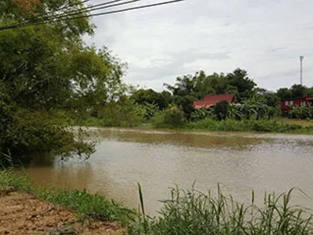 ขายที่ดินติดแม่น้ำท่าจีน บางปลาม้า