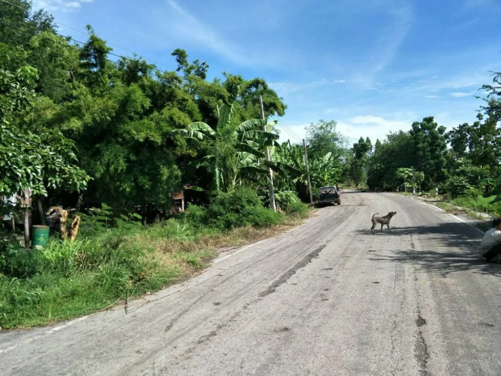 ที่ดินโฉนด จำนวน 7-2-40 ไร่ ติด ถลาดยาง ตคลองเกตุ อโคกสำโรง จลพบุรี