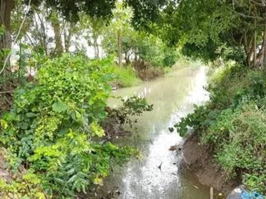 ขายที่ดิน 50ไร่ ใกล้ชุมชน ดอนเจดีย์ สุพรรณบุรี