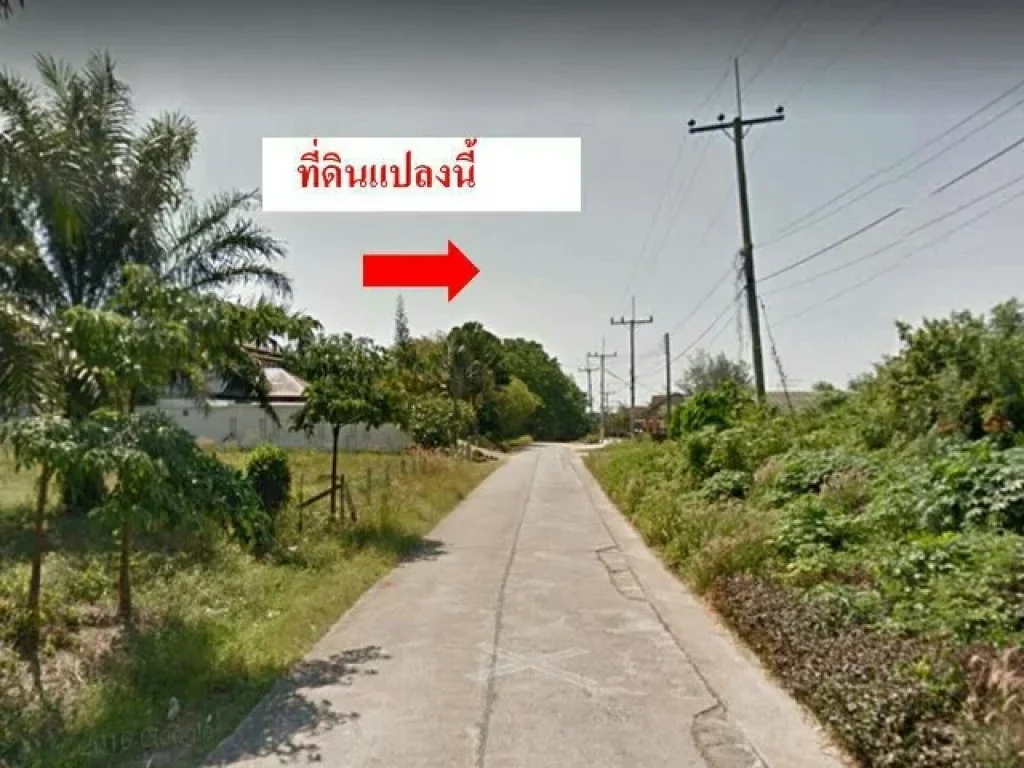 ขายที่ดิน 115 ตรว ต่ำกว่าราคาประเมิน ตโคกกลอย อตะกั่วทุ่ง จพังงา ใกล้เขาปิหลาย