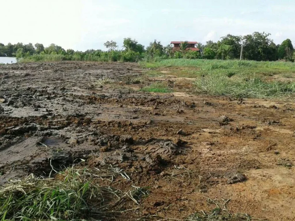 ขายที่ดินติดแม่น้ำบางปะกง เนื้อที่ 7 ไร่ บางคล้า จฉะเชิงเทรา