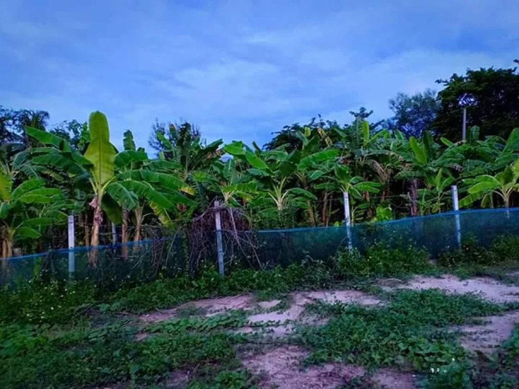 ขายที่ดินในโครงการจัดสรรเก่า หน้าติดถนนหลังติดคลองน้ำ