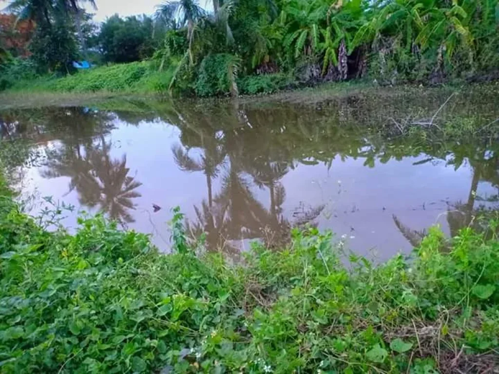 ขายที่ดินในโครงการจัดสรรเก่า หน้าติดถนนหลังติดคลองน้ำ