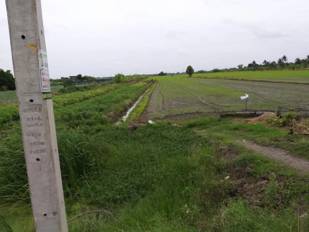 ที่ดินเนื้อที่ 20 ไร่ อำเภอไทรน้อย จังหวัดนนทบุรี