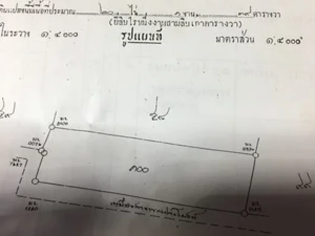 ขายที่ดินสองแปลง บ้านวัดตายมอำเภอบางกระทุ่ม จพิษณุโลก