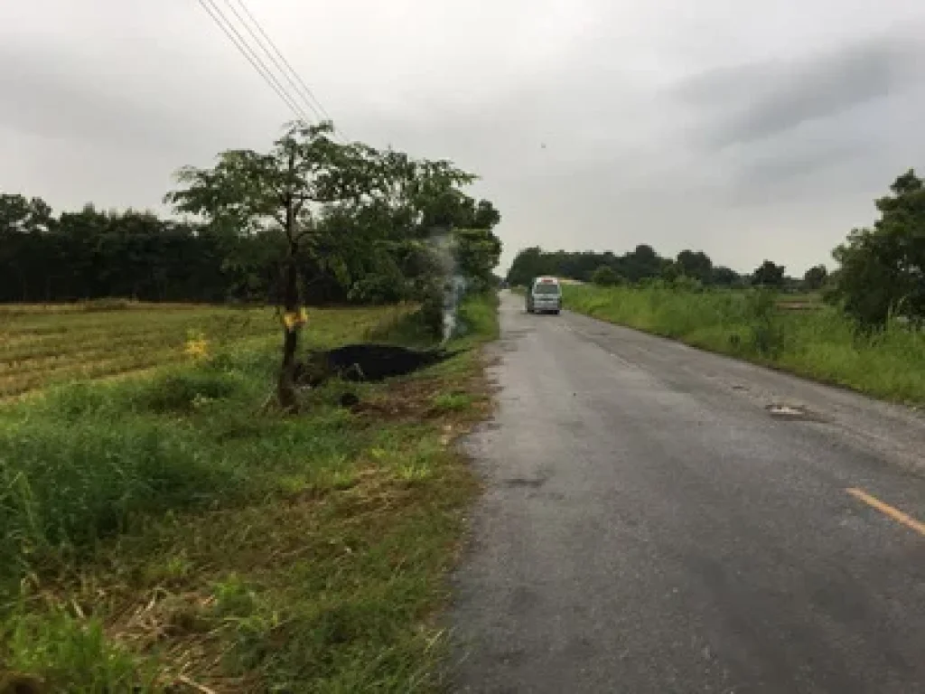 ขายที่ดิน4ไร่ถนนประสานมิตร ตหัวรอ อเมือง จพิษณุโลก