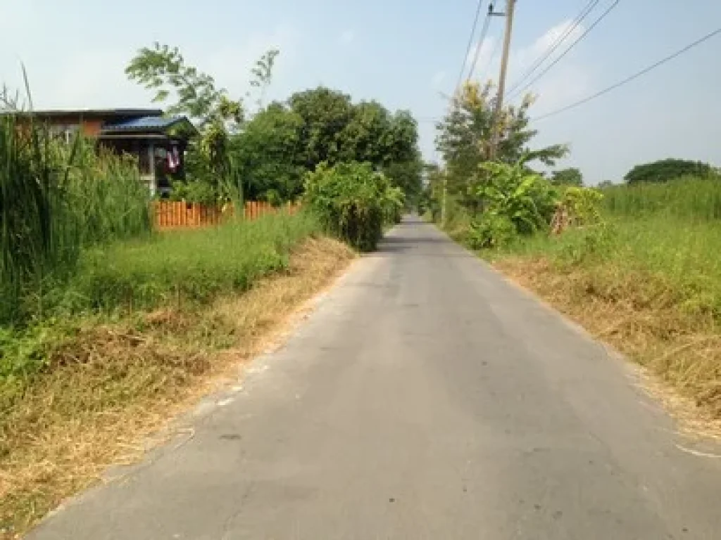 ขายที่ดิน 70 ตรว คลอง8 ตลำผักกูด อธัญบุรี จปทุมธานี