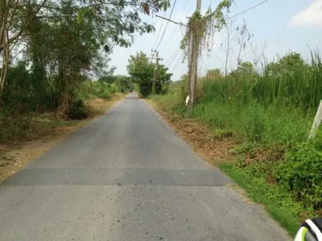 ขายที่ดิน 70 ตรว คลอง8 ตลำผักกูด อธัญบุรี จปทุมธานี