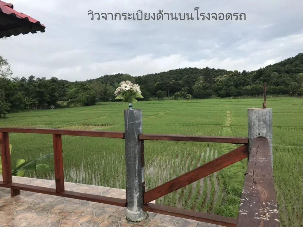 ขายที่ดินพร้อมสิ่งปลูกสร้าง ติดถนนหมู่บ้าน ตดอยลาน จเชียงราย