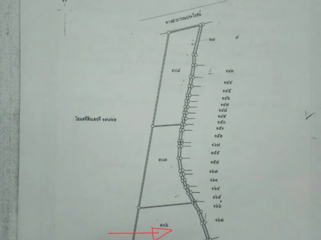 ขายที่ดินสวย 4-3-69 ไร่ ด้านหลังติดภูเขา ใกล้วัดพระขาว ตกลางดง อปากช่อง จนครราชสีมา