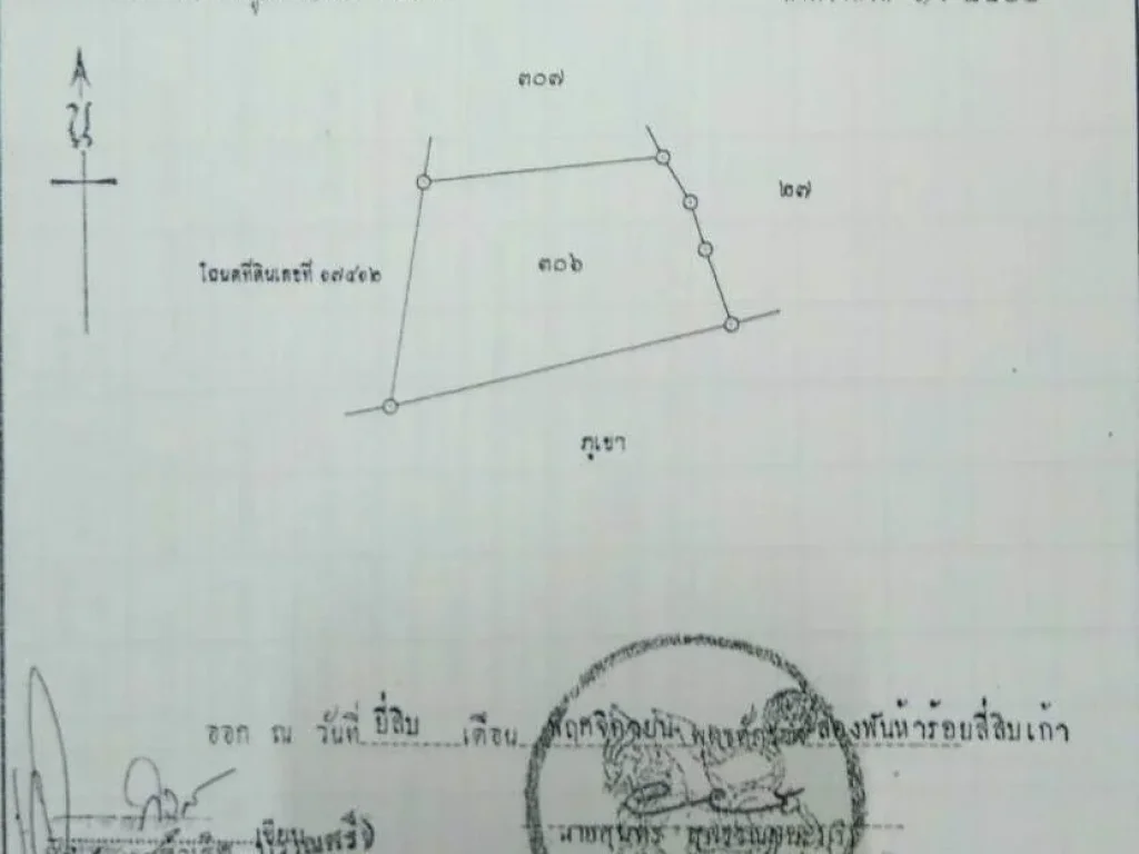 ขายที่ดินสวย 4-3-69 ไร่ ด้านหลังติดภูเขา ใกล้วัดพระขาว ตกลางดง อปากช่อง จนครราชสีมา