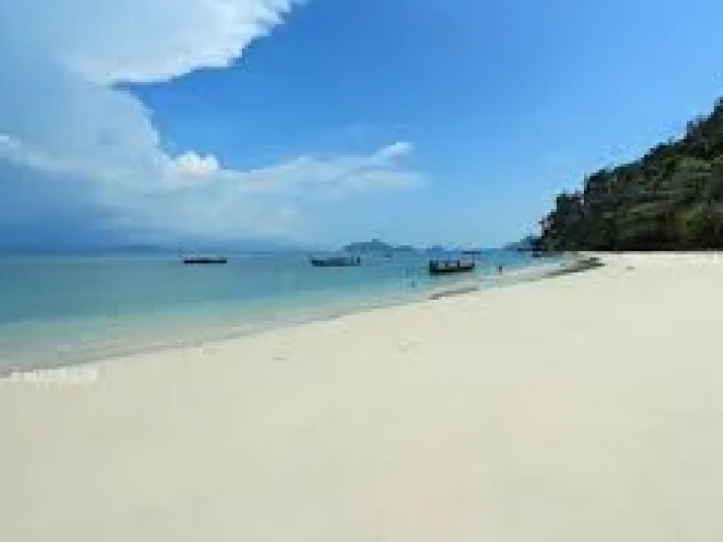 ขายที่ดินติดหาดแปลงใหญ่ ชายหาดแม่พิมพ์ ทะเลสวย ทรายขาว 17 ไร่