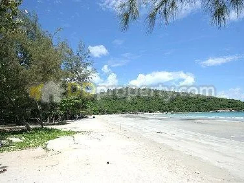 ขายที่ดินติดหาดแปลงใหญ่ ชายหาดแม่พิมพ์ ทะเลสวย ทรายขาว 17 ไร่