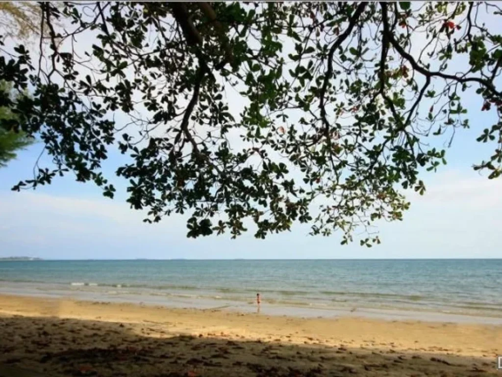 ขายที่ดินติดหาดแปลงใหญ่ ชายหาดแม่พิมพ์ ทะเลสวย ทรายขาว 17 ไร่