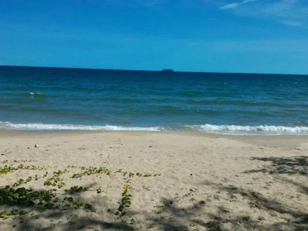 ขายที่ดินติดหาดแปลงใหญ่ ชายหาดแม่พิมพ์ ทะเลสวย ทรายขาว 17 ไร่