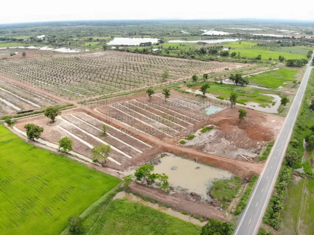 ที่ดินแปลงใหญ่ หนองคาย ทำสวนปาล์ม หรือทำเกษตร ใกล้แม่น้ำโขง บ้านดงบัง ศรีเชียงใหม่ ท่าบ่อ