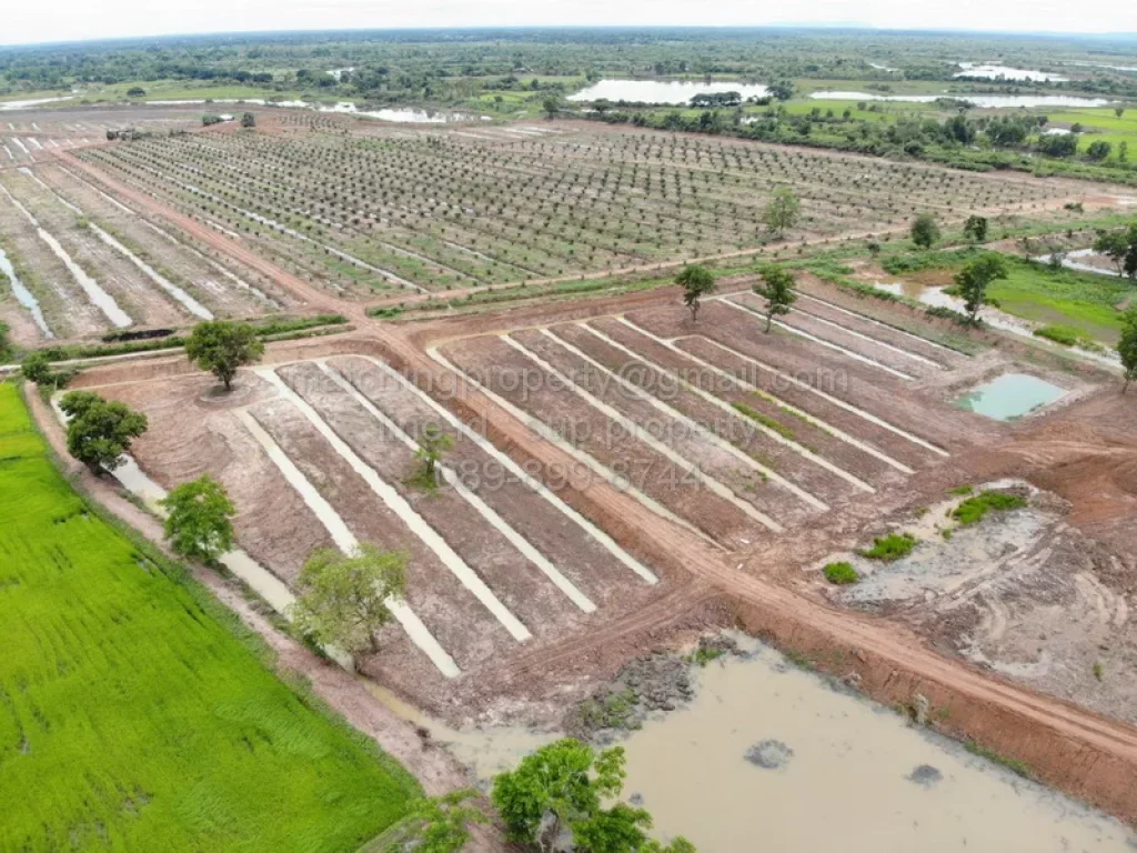 ที่ดินแปลงใหญ่ หนองคาย ทำสวนปาล์ม หรือทำเกษตร ใกล้แม่น้ำโขง บ้านดงบัง ศรีเชียงใหม่ ท่าบ่อ