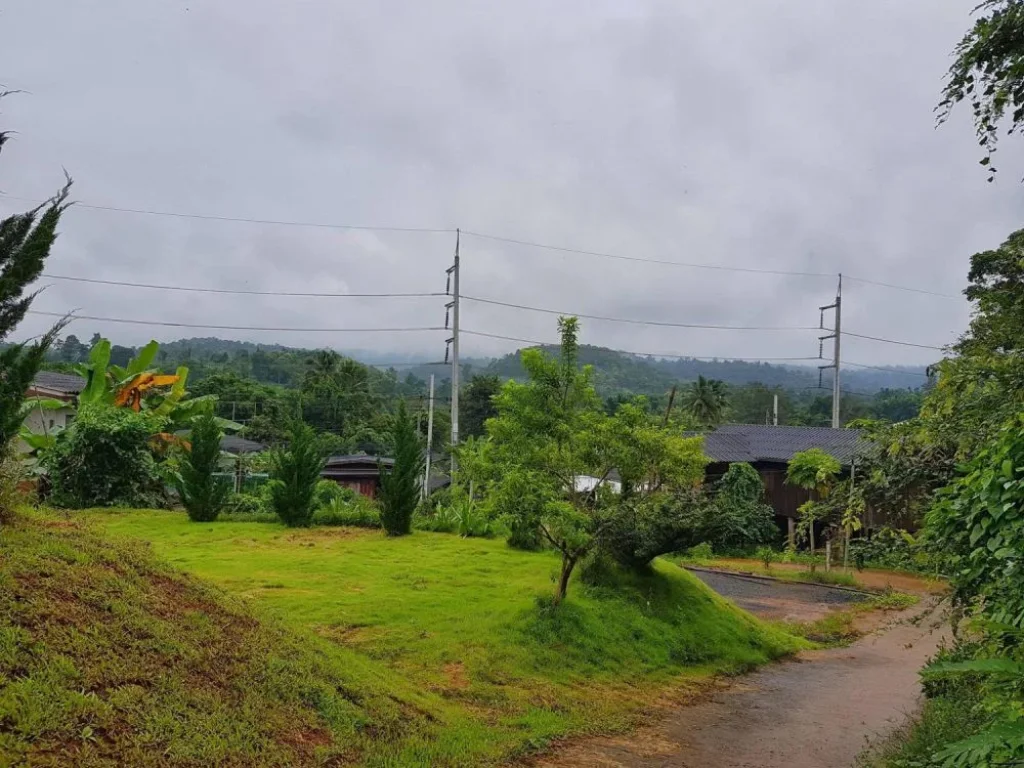 ขายบ้าน ร้านอาหาร ที่ดินเนินเขาติดทางหลวง 1095 เชียงใหม่-ปาย พร้อมเฟอร์นิเจอร์ บรรยากาศดี ที่ตั้ง ตสบเปิง อแม่แตง จเชียงใหม่ เนื้อที่ 1 ไร่ 2 งานเ