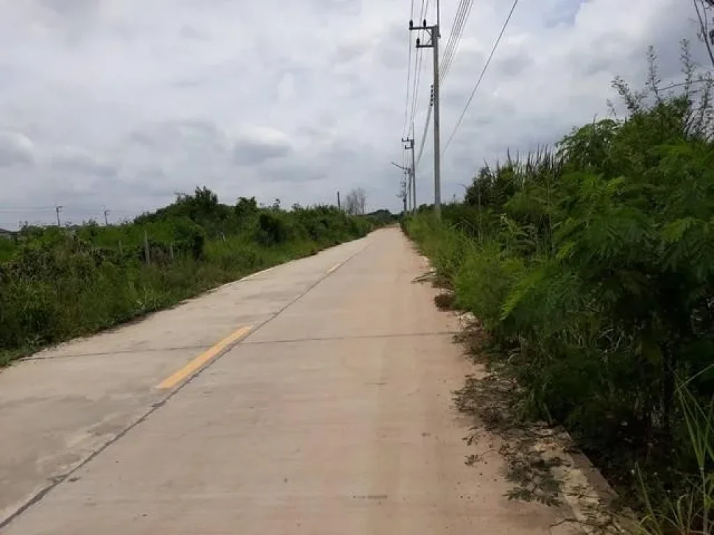 ขายที่ดิน 384 ตรว ถเลียบคลองสาม ซอย 14 คลองหลวง รังสิต-ปทุมธานี