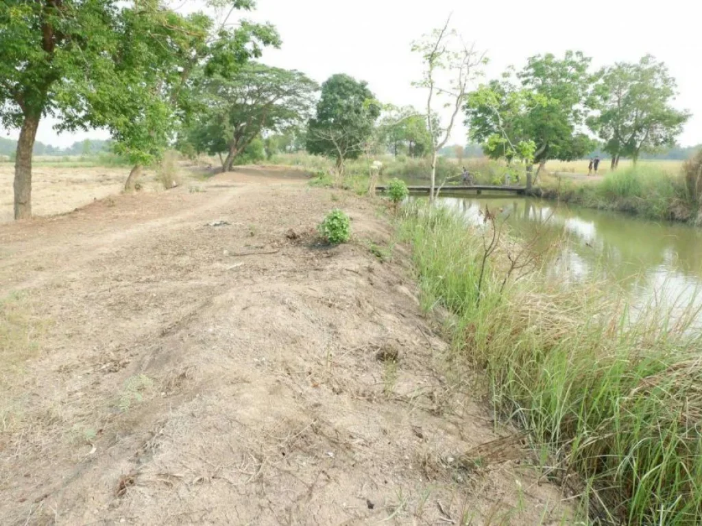 ขายด่วนที่ดินแปลงสวยติดคลองส่งน้ำชลประทาน หนองแค สระบุรี