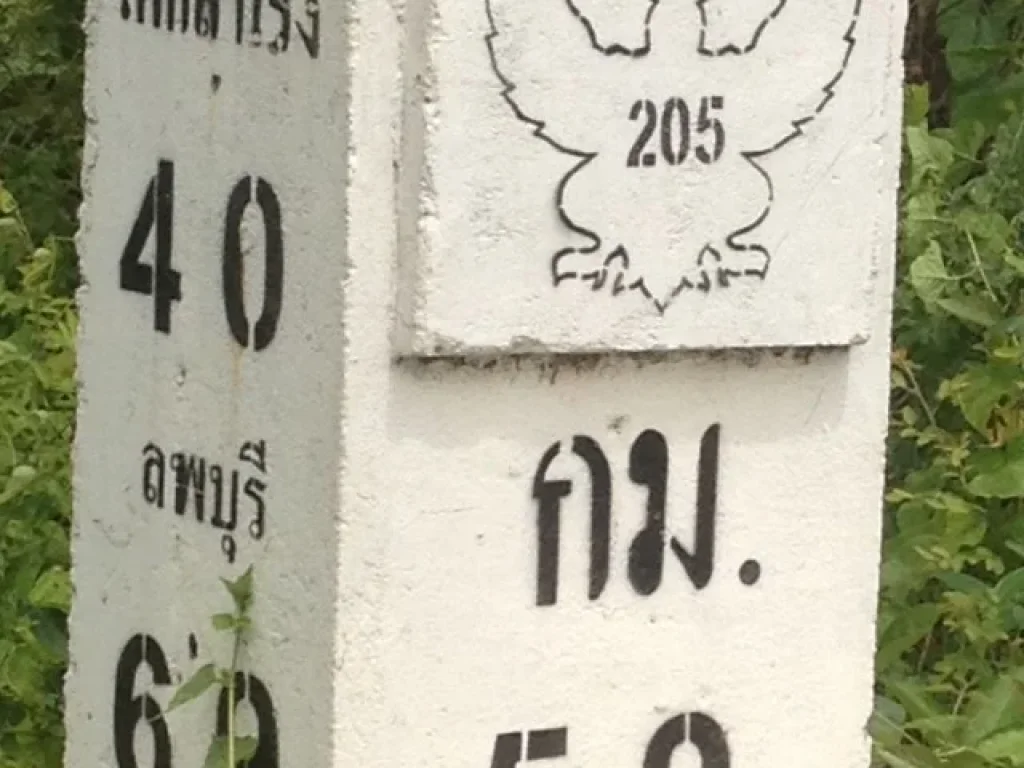 ขายที่ดิน มีโฉนด20-3-62ไร่ ติดถนนสายชัยบาดาล-ลำนารายณ์ ชัยบาดาล ลพบุรี