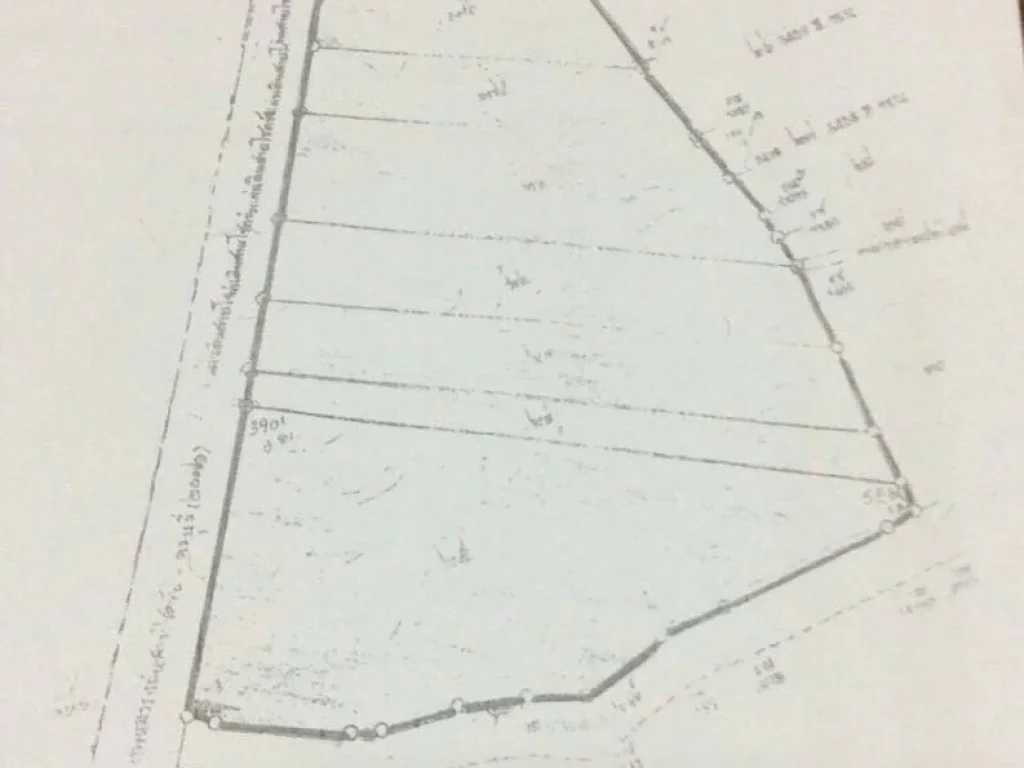 ขายด่วนที่ดินแปลงใหญ่ติดถนนโชคชัย-ครบุรี