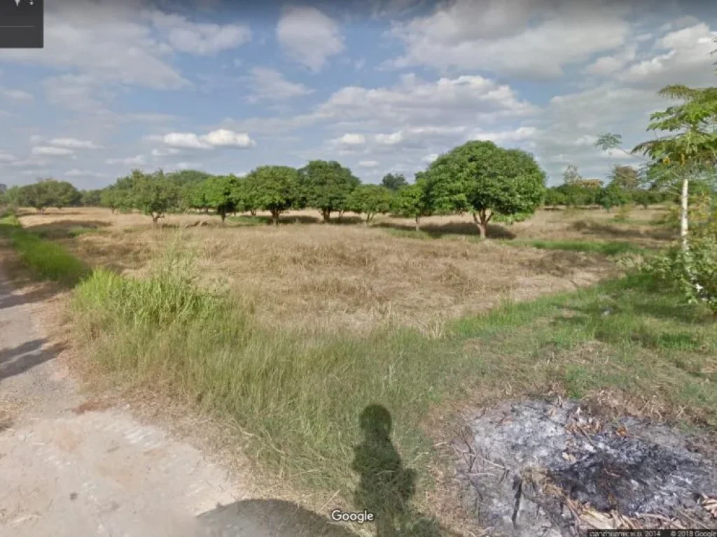 Land for sale in Mueang Buriram