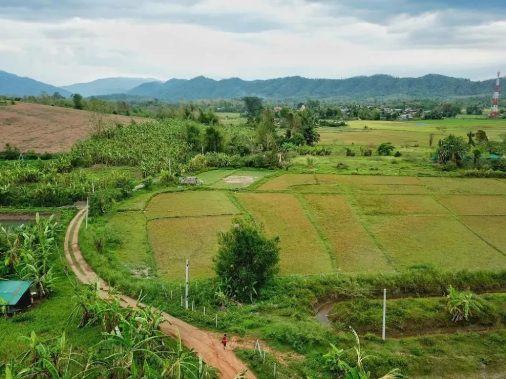 ขายที่ดินปรับพื้นที่แล้ว บรรยากาศดี ติดถนน โฉนด มีแบบบ้านมีวิศวกรเซ็นเรียบร้อย มีBOQ พร้อมขอกู้ ที่ตั้ง ตสบเปิง อแม่แตง จเชียงใหม่ เนื้อที่ 3