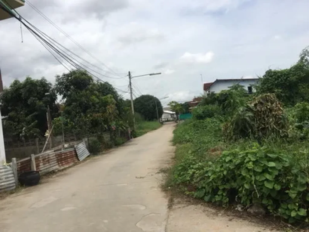 ขายที่ดิน5ไร่ ซอยเนยยินดีเลยสถานีรถไฟเต็งหนาม เมืองพิษณุโลก