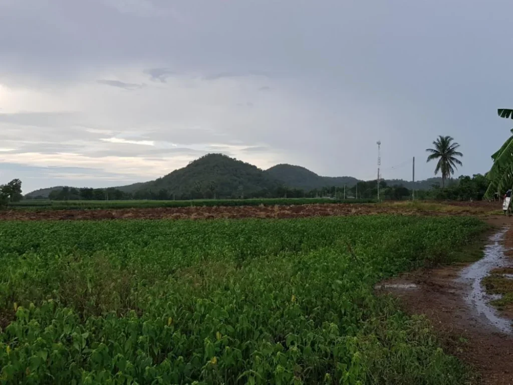 ขายด่วนมากๆๆ ที่ดินจัดสรร วิวภูเขา หลังติดลำธาร อเลาขวัญ กาญจนบุรี