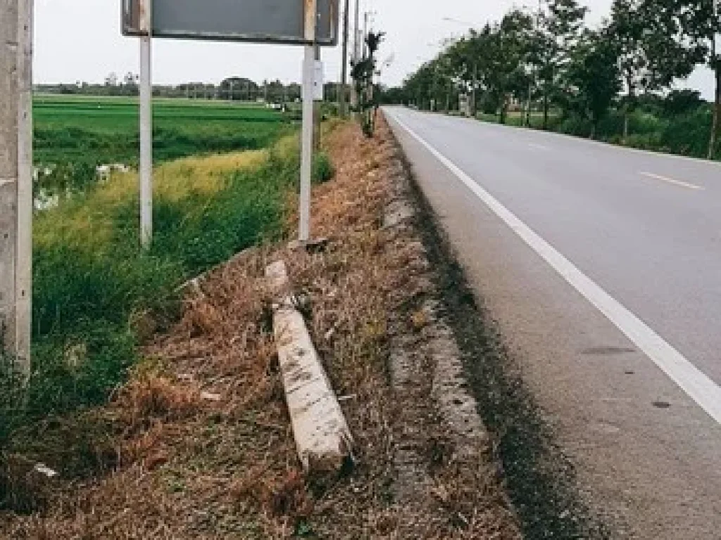 ขายที่ดิน 200 ไร่ ตำบลบ่อเงิน อำเภอลาดหลุมแก้ว งหวัดปทุมธานี