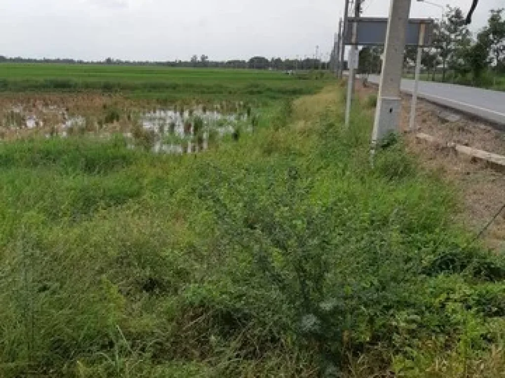 ขายที่ดิน 200 ไร่ ตำบลบ่อเงิน อำเภอลาดหลุมแก้ว งหวัดปทุมธานี