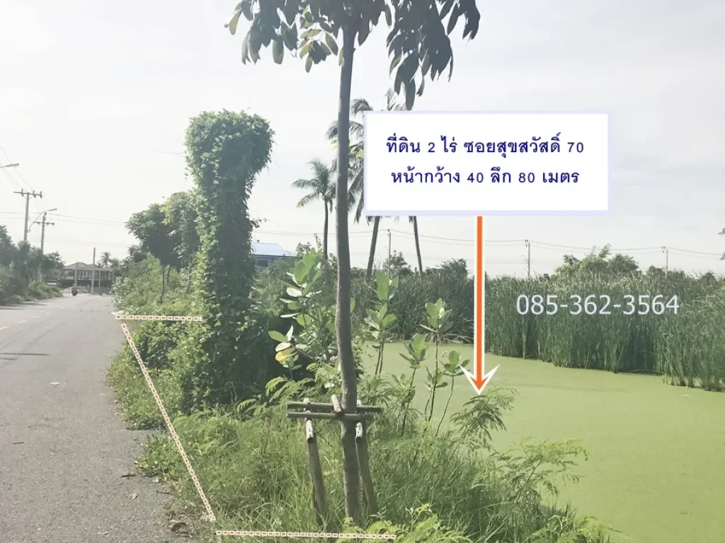 ขาย ที่ดิน 2ไร่ ซอยสุขสวัสดิ์ 70 ทุ่งครุ ประชาอุทิศ 69