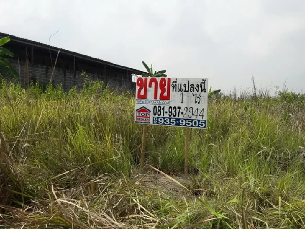 ที่ดิน ซอยกฤษณะฟาร์มเห็ด คลองเก้า ลำลูกกา นิมิตรใหม่ หนองจอก กรุงเทพมหานคร