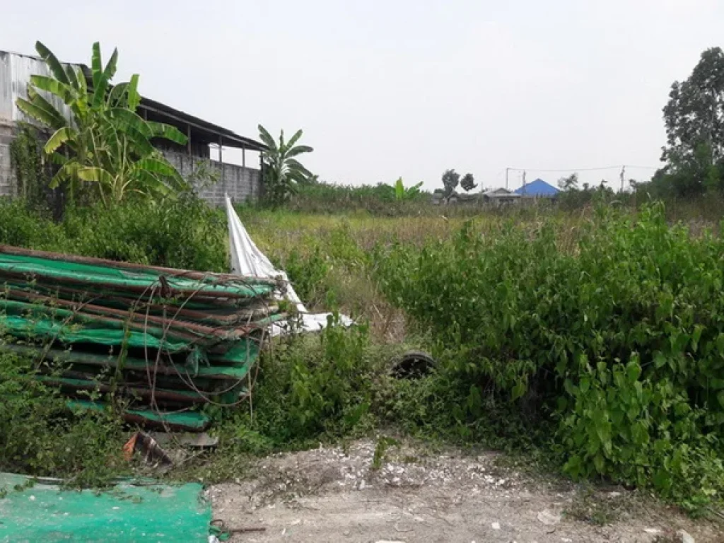 ที่ดิน ซอยกฤษณะฟาร์มเห็ด คลองเก้า ลำลูกกา นิมิตรใหม่ หนองจอก กรุงเทพมหานคร