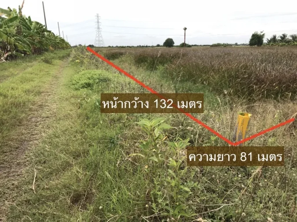 ขาย ที่ดิน ลาดหลุมแก้ว ซอยข้างโรงงานซีพี เนื้อที่ 6 ไร่ 132 ตรว