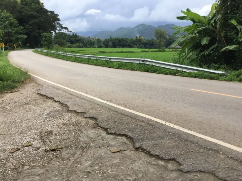 ขายที่นาแม่ริม วิวสวย เหมาะกับลงทุนรีสอทร์