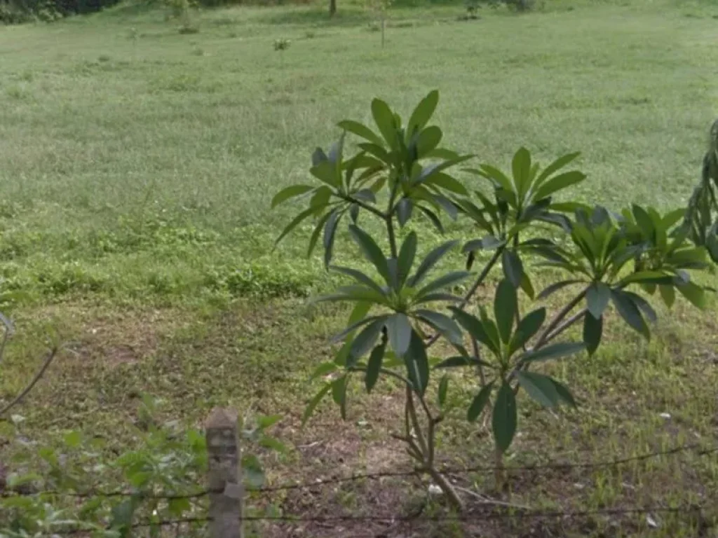 ขายที่ดินติดทะเล 90 เมตร ติดถนนสุขุมวิท