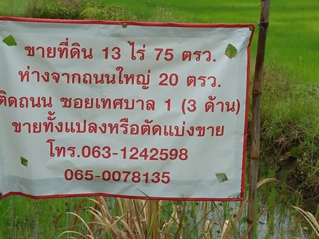 ขายที่ดิน 13 ไร่ 75 ตรว ห่างจากถนนใหญ่ 20 ตรว ติดถนน ซอยเทศบาล 1 3ด้าน